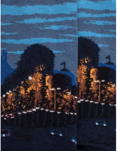 chaussettes coton fantaisie paris arc de triomphe champs elysées