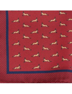 Pocket square for Men 2