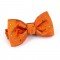 ORANGE WITH MULTICOLOR BUBBLE