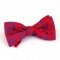 ROUGE FLEURS BLEUES NP